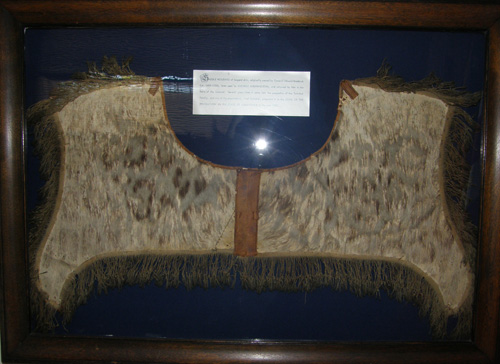 Washington saddle pad