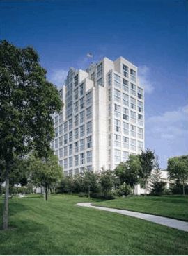 Hilton Glendale
